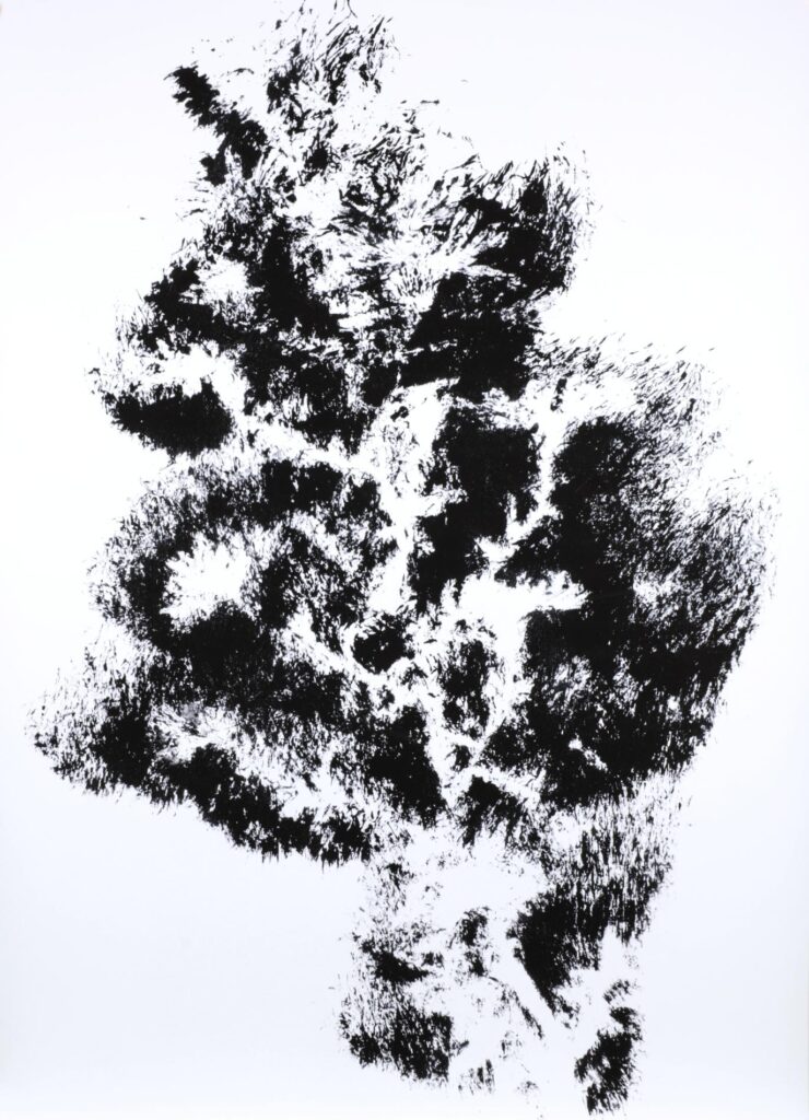 Obrázek díla Otisk od Jasmína Mary Havle