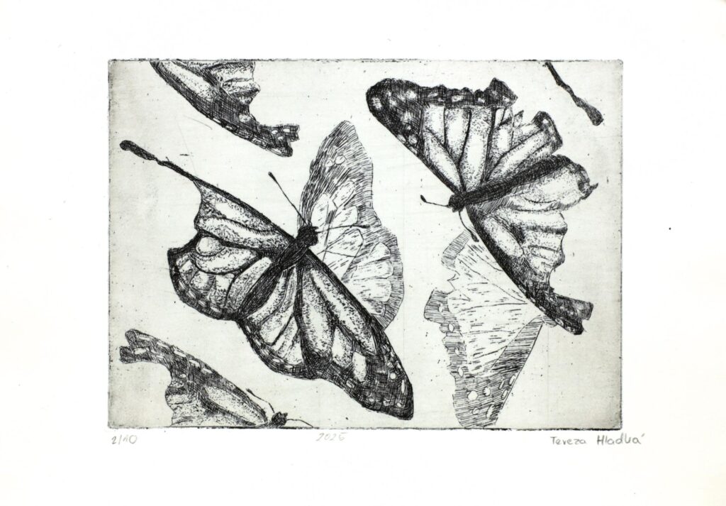 Obrázek díla bn od Tereza Hladká