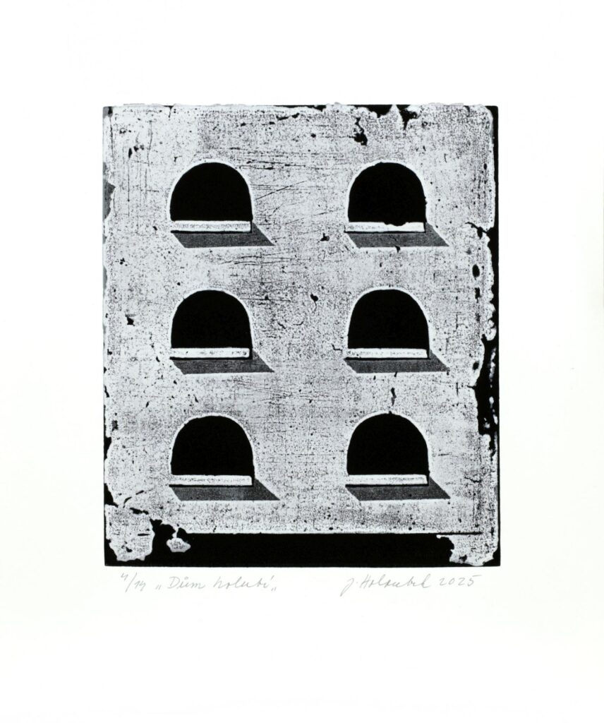 Obrázek díla Holubí dům od Jan Holoubek