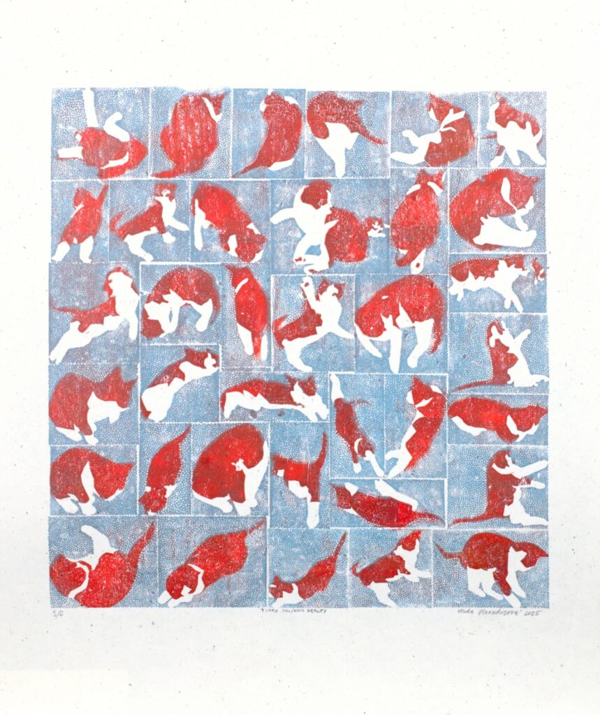 Obrázek díla Tvary Orlíkovy reality od Meda Hrazdirová