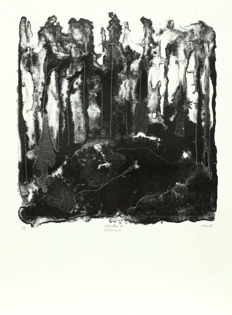 Obrázek díla Nokturno skladba V od Lukáš Hron