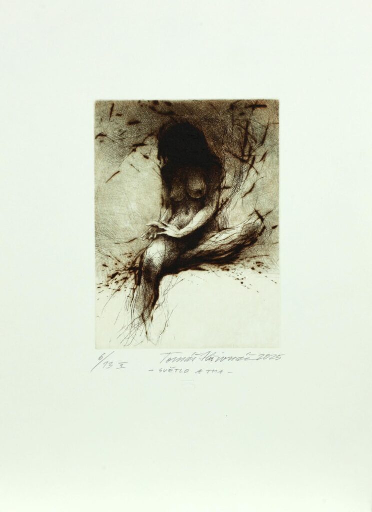 Obrázek díla Světlo a tma od Tomáš Hřivnáč