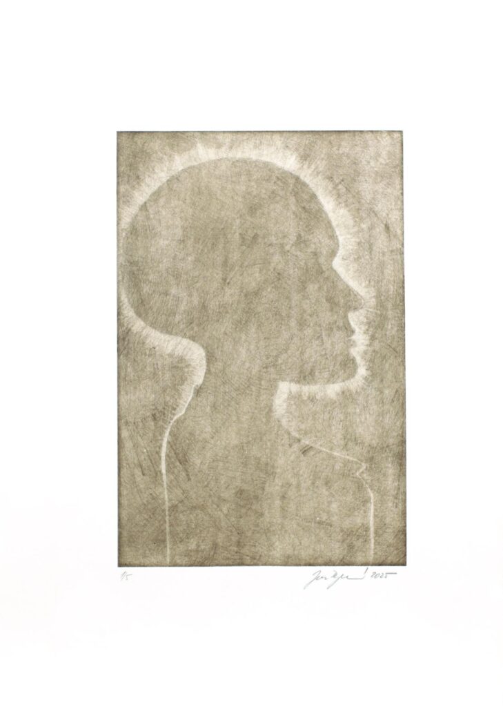 Obrázek díla Světlovody od Jana Jaklová Dytrtová