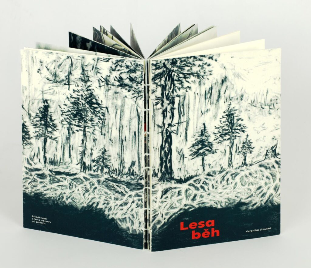 Obrázek díla Lesa běh od Veronika Jírovská Zemanová