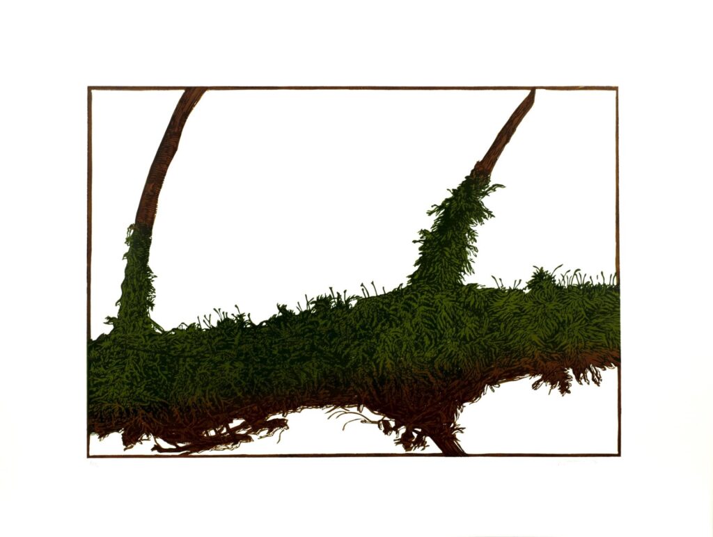 Obrázek díla bn od Jindřiška Jonešová