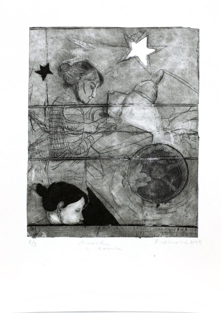 Obrázek díla Brusička a kometa od Alžběta Kadlecová