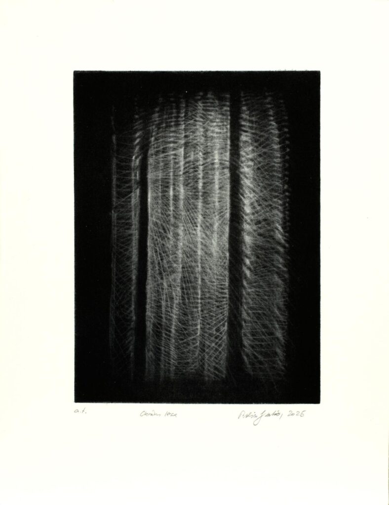 Obrázek díla Chrám lesa od Robin Kaloč