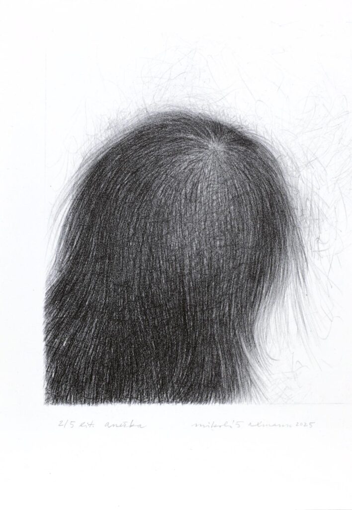 Obrázek díla Anežka od Mikoláš Axmann