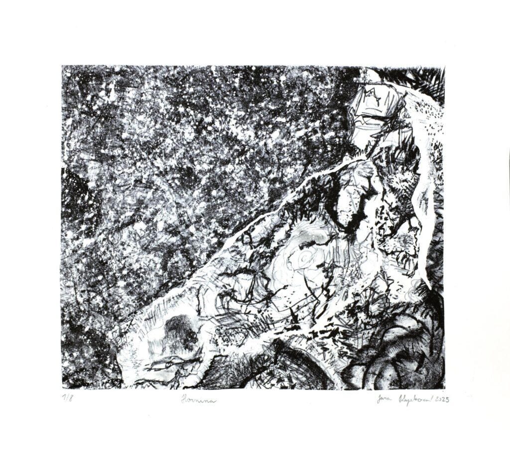 Obrázek díla Hornina od Jana Kapeková