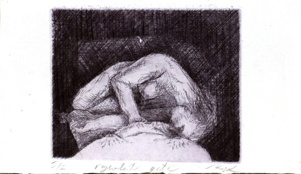 Obrázek díla Rozevláté gesto od Mellanie Kašjak