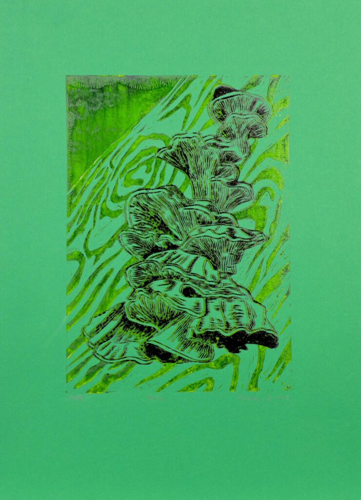 Obrázek díla Houby od Rozárie Kašpárková