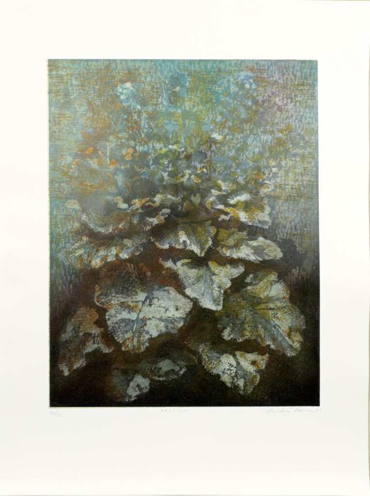 Obrázek díla Arctium od Mikuláš Kavan