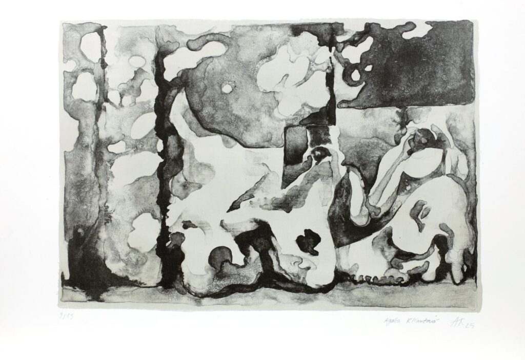 Obrázek díla bn od Agáta Klimtová