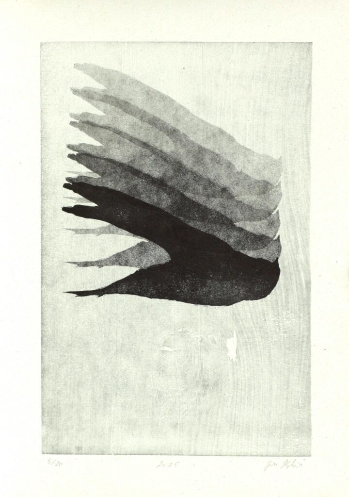 Obrázek díla bn od Jiří Kolář