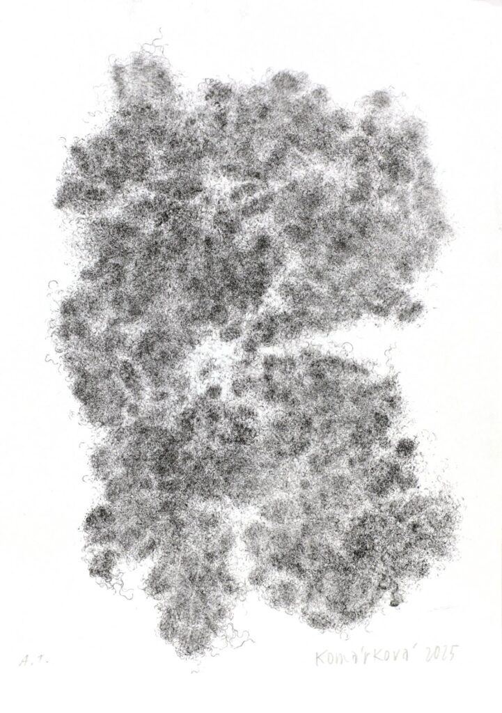 Obrázek díla bn od Julie Komárková