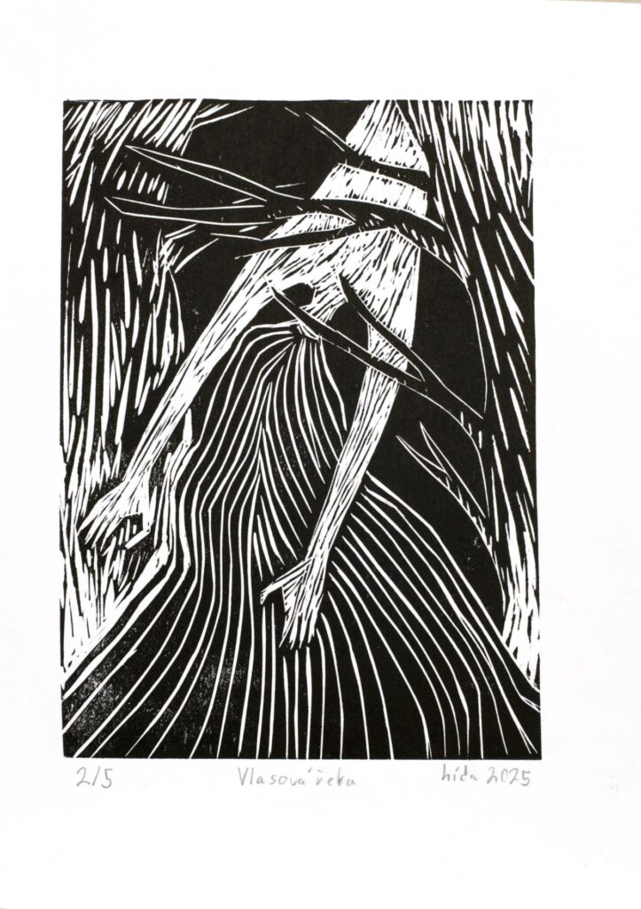 Obrázek díla Vlasová řeka od Lída Komorná