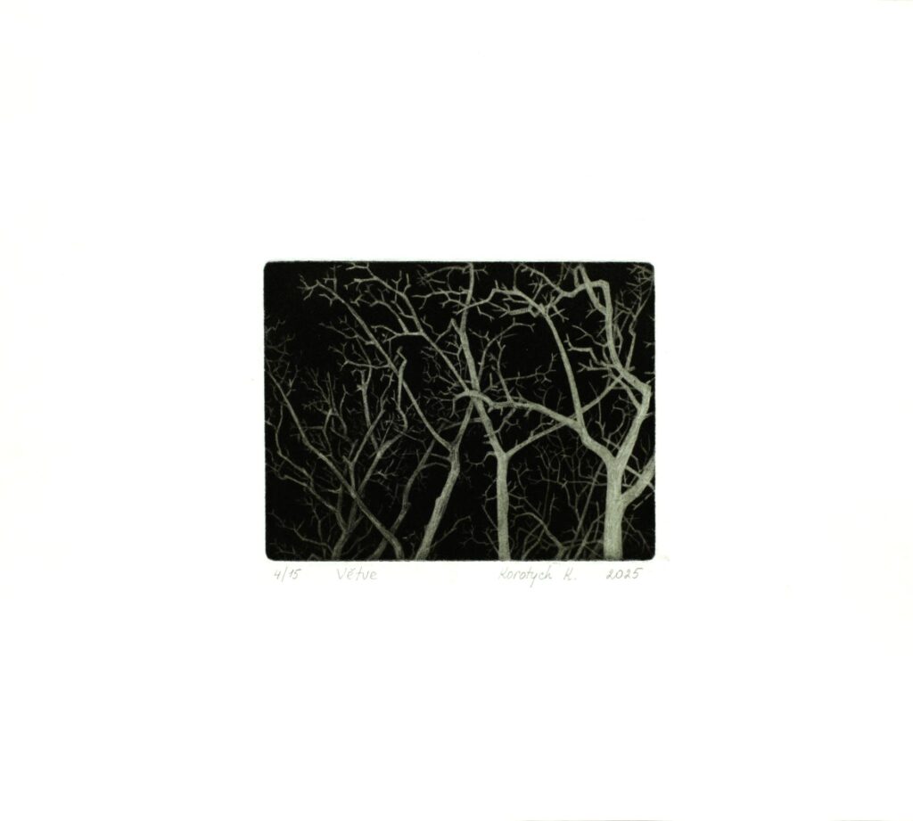 Obrázek díla Větve od Kateryna Korotych