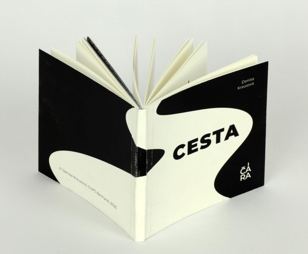 Obrázek díla Cesta od Denisa Krausová