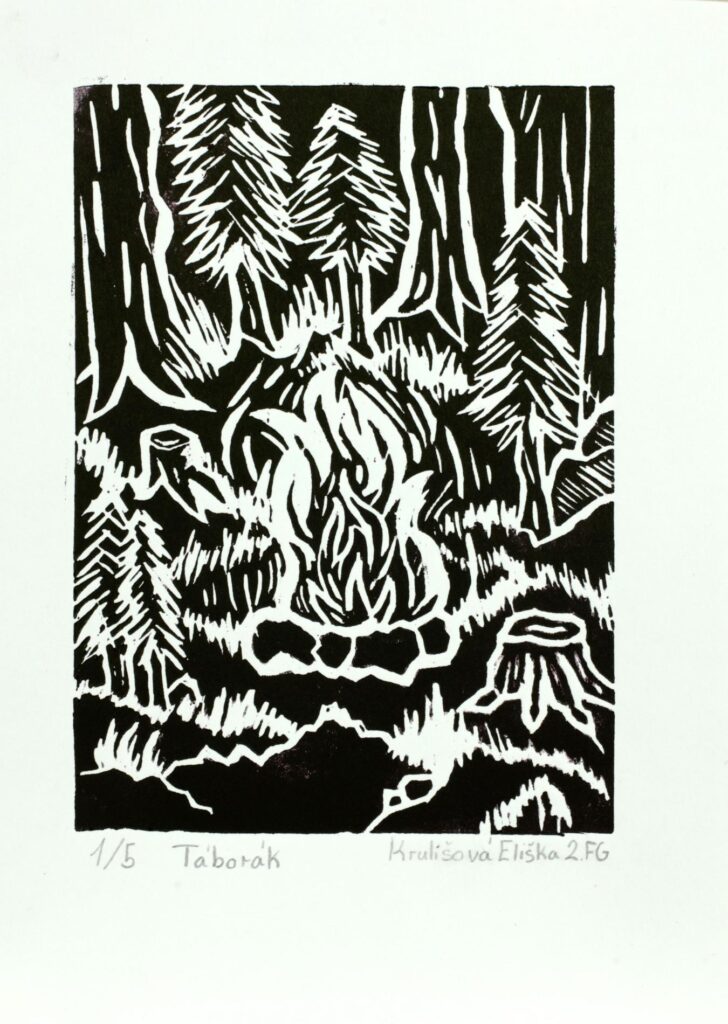 Obrázek díla Táborák od Eliška Krulišová