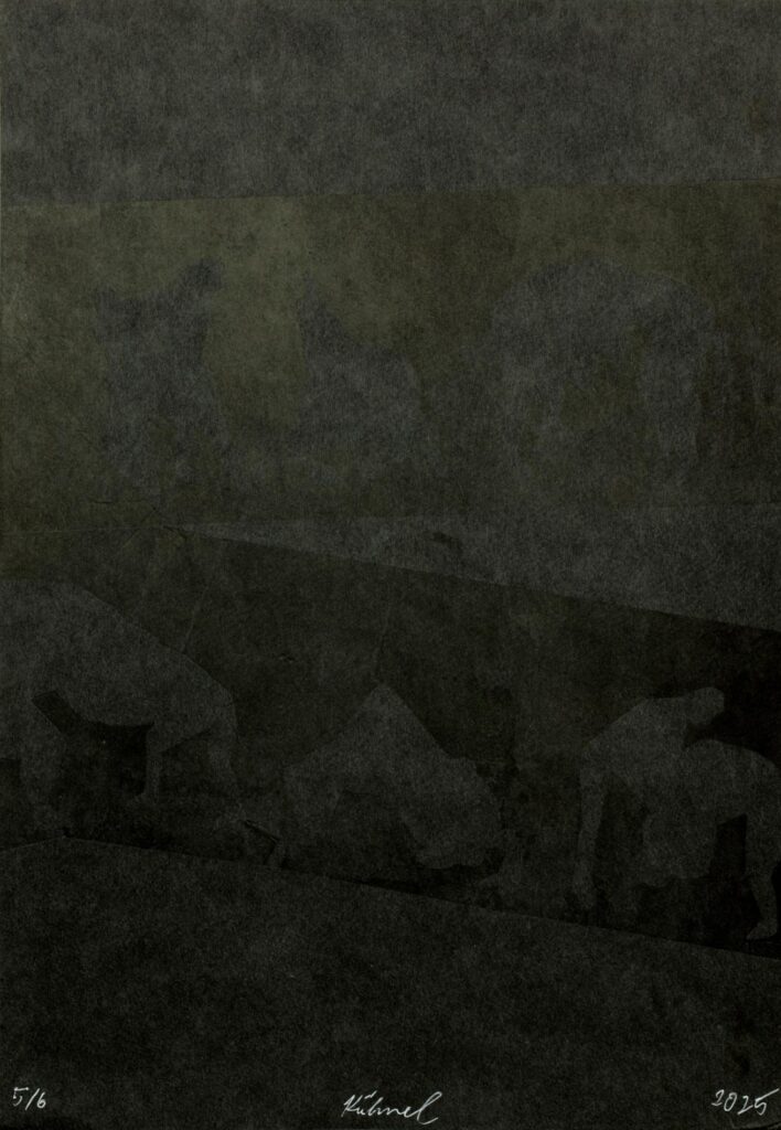 Obrázek díla Wrestleři od Karel Kühnel