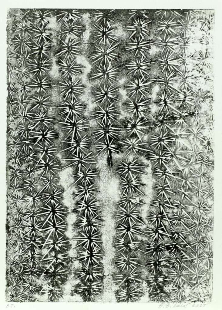 Obrázek díla Kaktus od Bronislava Bakule Malá