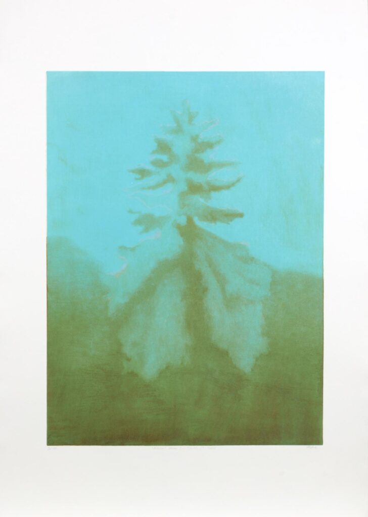 Obrázek díla Krásný strom I. - Solitér I. od Pavel Kytner