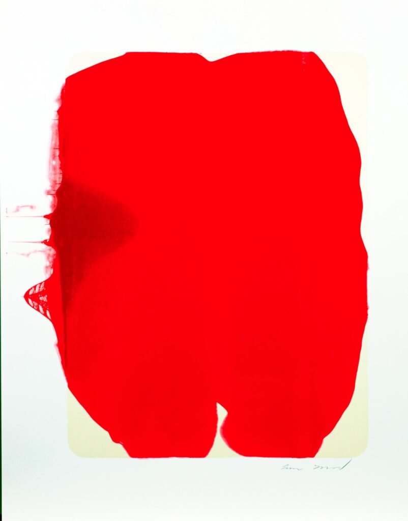 Obrázek díla bn od Zuzana Lednická