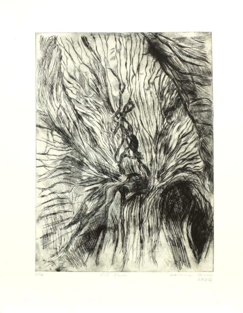 Obrázek díla Síť času od Zuzana Lörincz