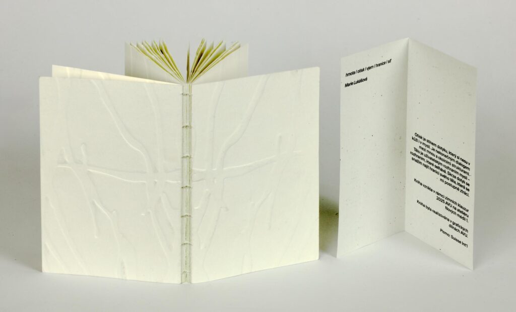 Obrázek díla hmota / otisk / vjem / hranice / síť od Marie Lukášová