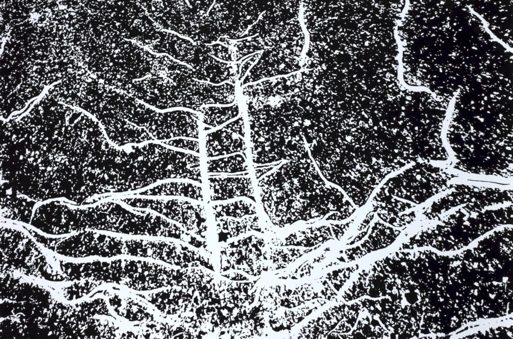 Obrázek díla Kořeny od Adéla Lukešová