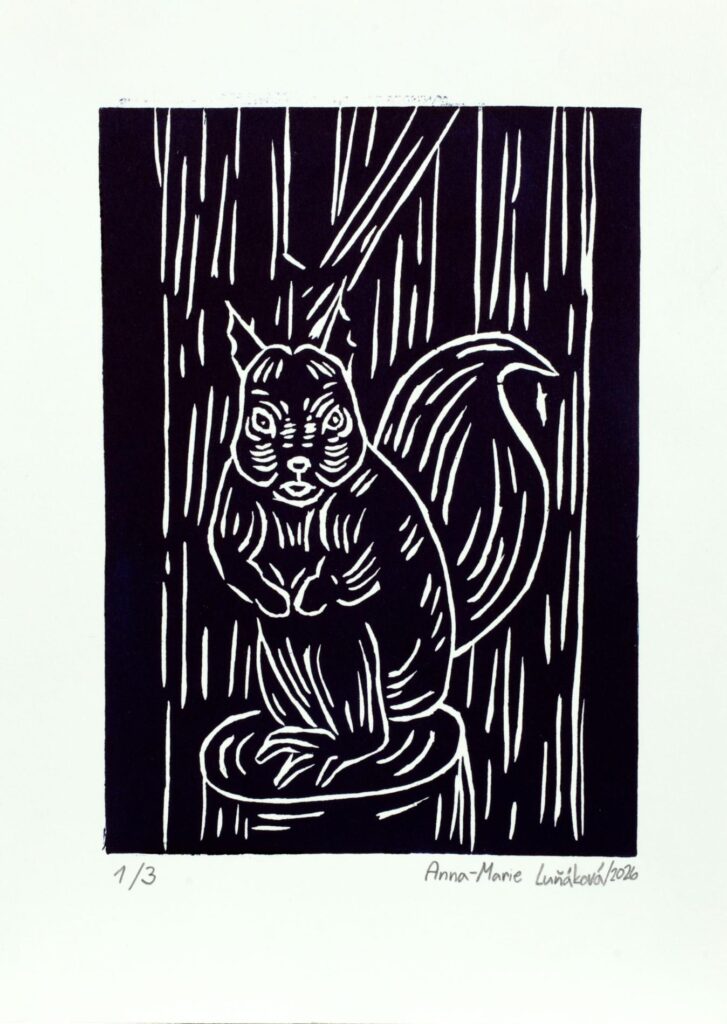 Obrázek díla bn od Anna Marie Luňáková