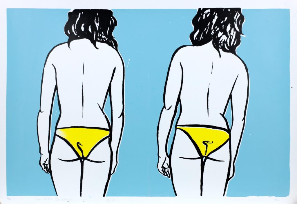 Obrázek díla Sen Vráti Brabence od Alice Mahďáková