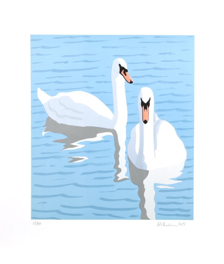 Obrázek díla Labutě ze Serpentine od Petr Malina