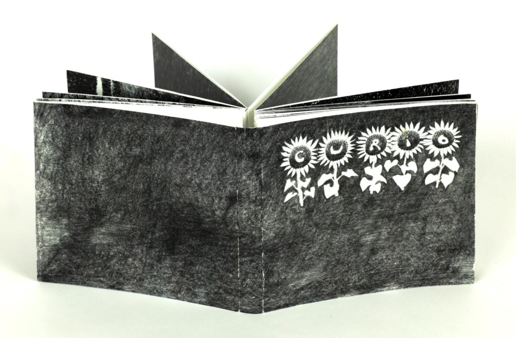 Obrázek díla Curio od Samuel Mašek