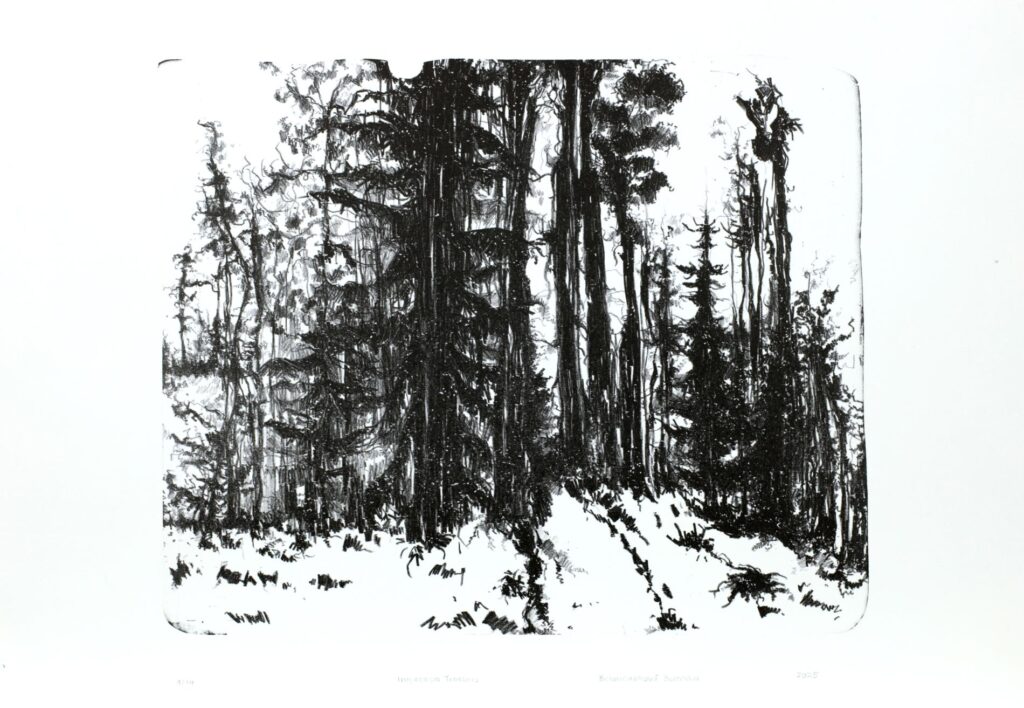 Obrázek díla Impressio tenebris od Berenika Bělohoubková