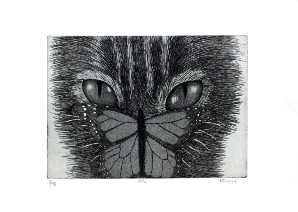 Obrázek díla bn od Eliška Němcová