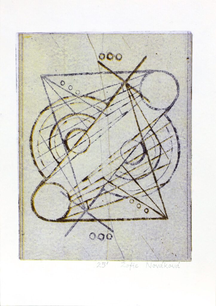 Obrázek díla bn od Žofie Nováková