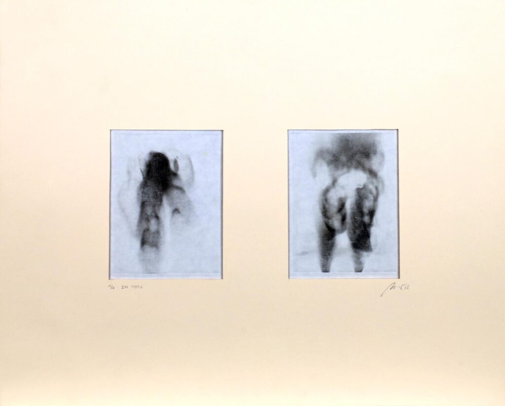 Obrázek díla IN MOTU / v pohybu od Vojtěch Nový