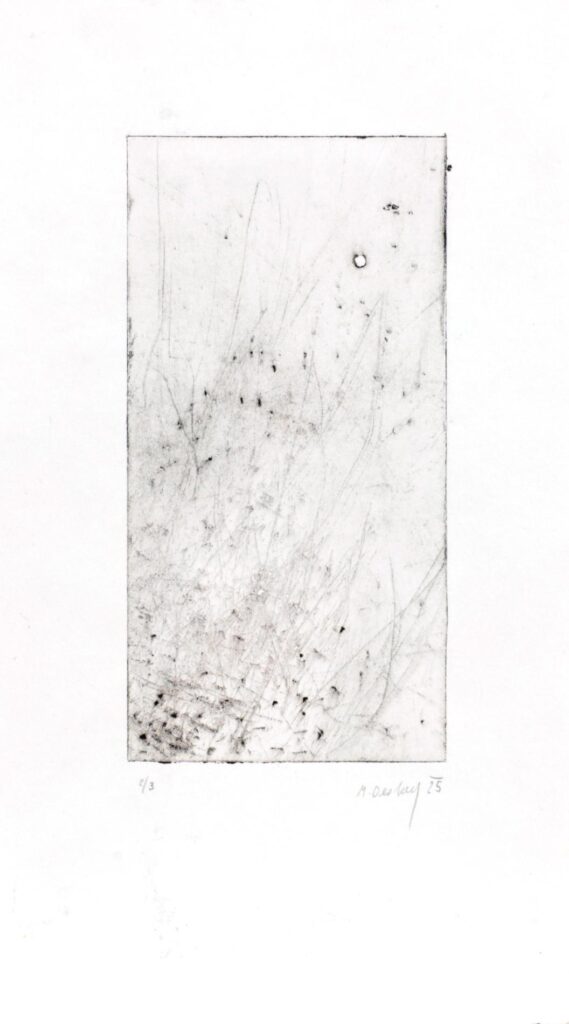 Obrázek díla Ticho od Magdalena Oesterreicher