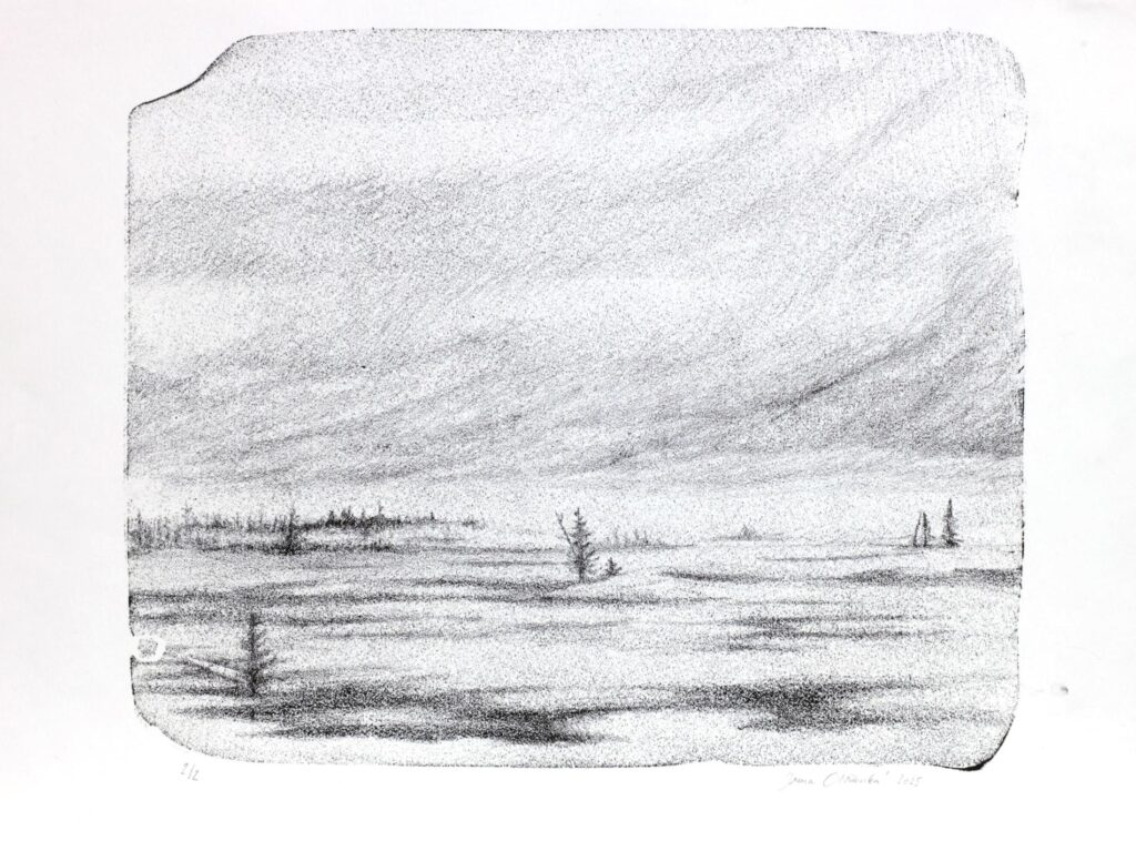 Obrázek díla Ticho nad mokřadem od Irena Olšanská