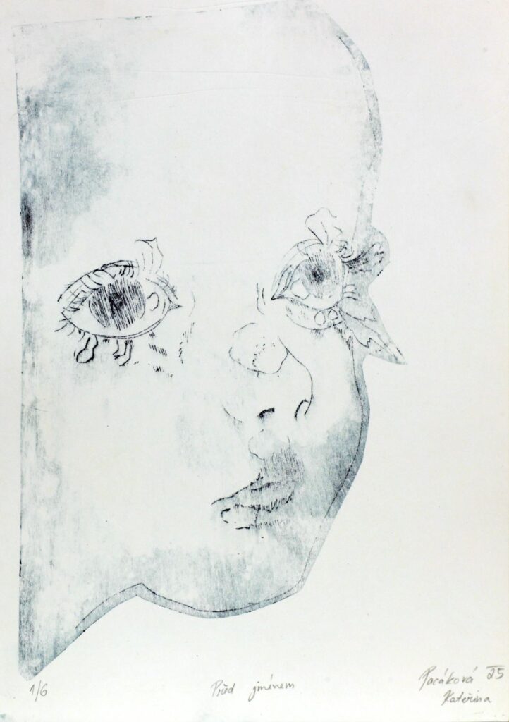 Obrázek díla Před jménem od Kateřina Pacáková