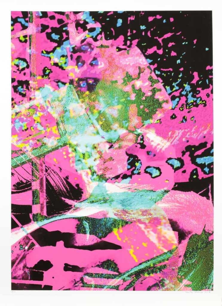 Obrázek díla bez názvu od Rozálie Peterová