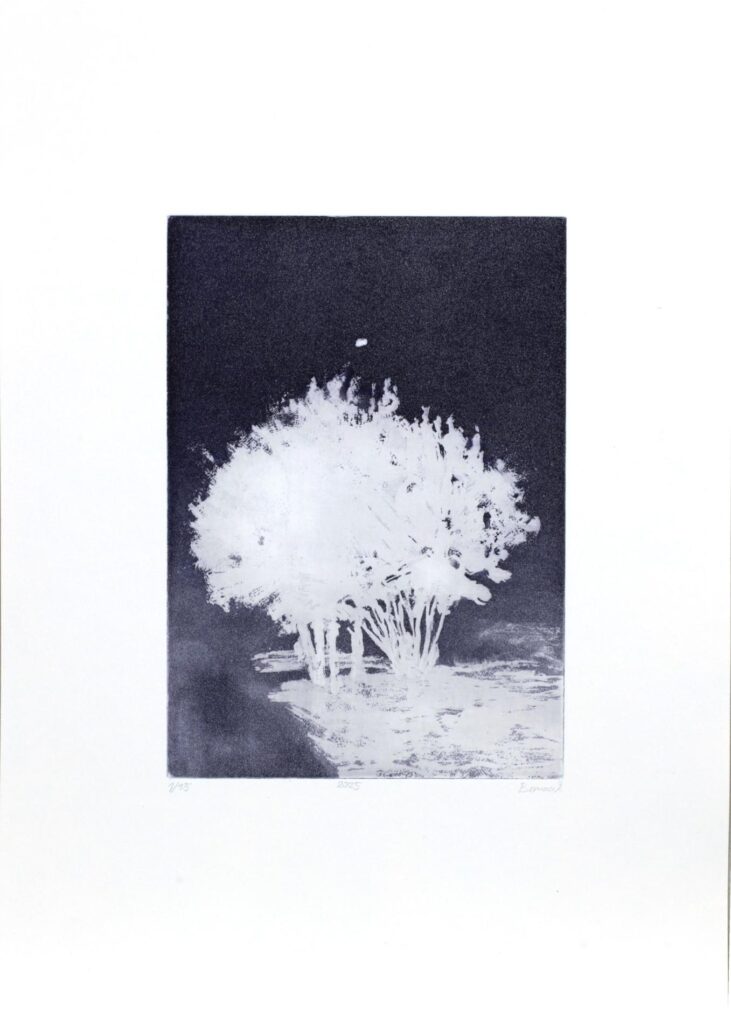 Obrázek díla Vrostlé vzpomínky od Valentýna Bernacik