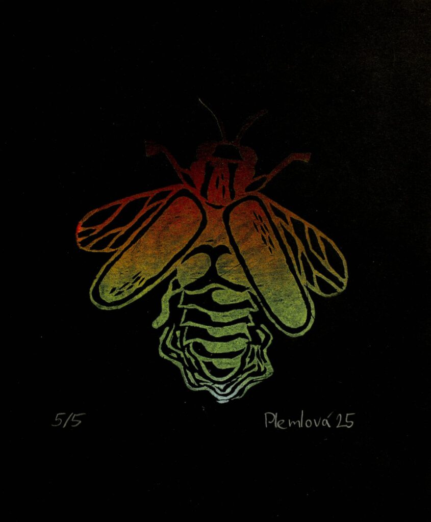 Obrázek díla Světluška od Michaela Plemlová