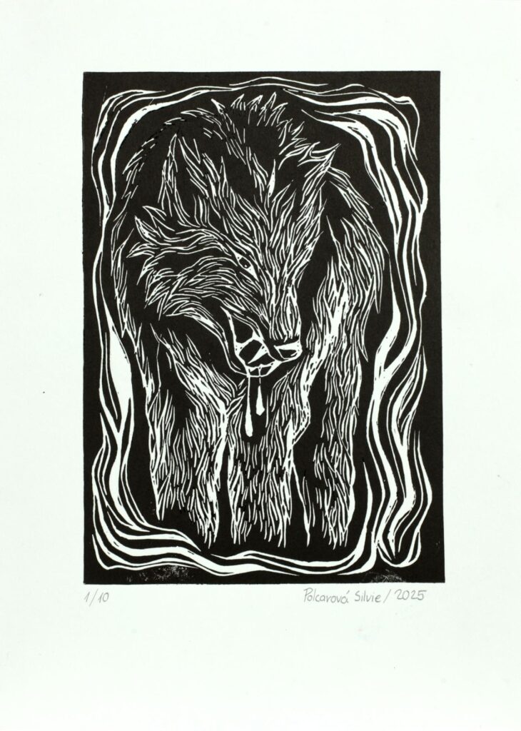 Obrázek díla bn od Silvie Polcarová