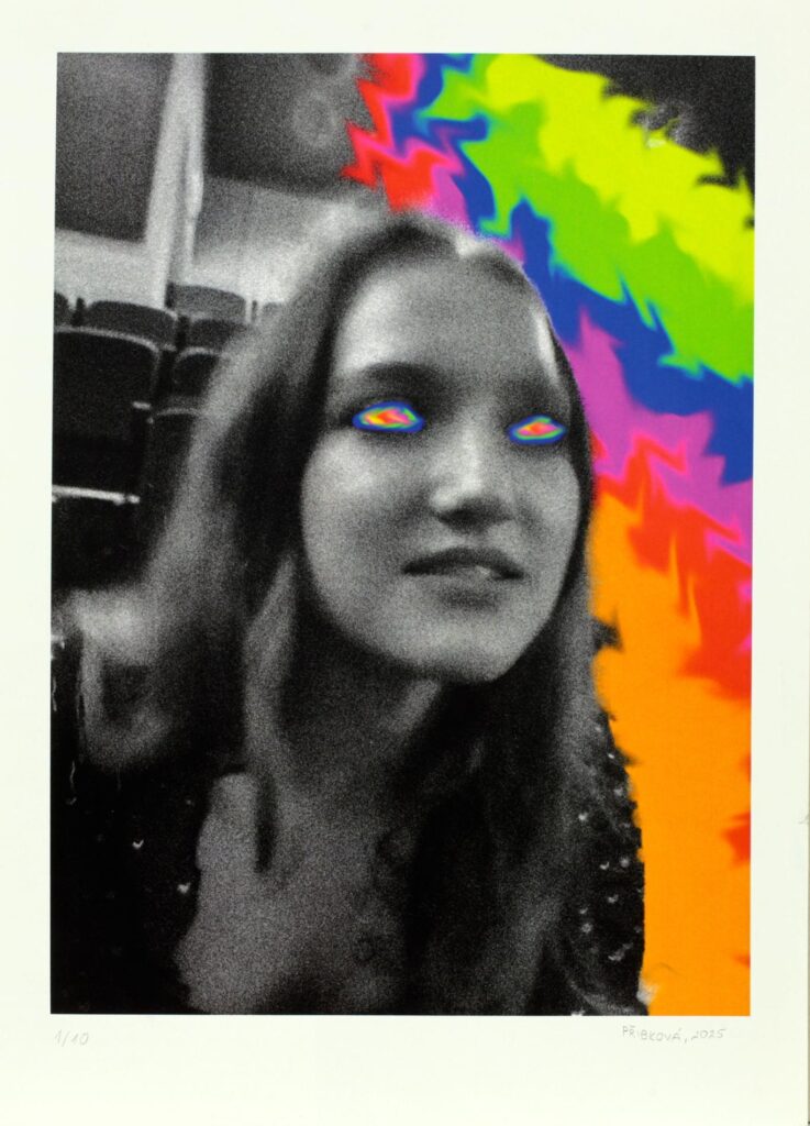 Obrázek díla Prozření od Anežka Přibková