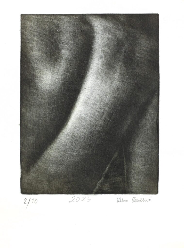 Obrázek díla Záda od Viktorie Přívětivá