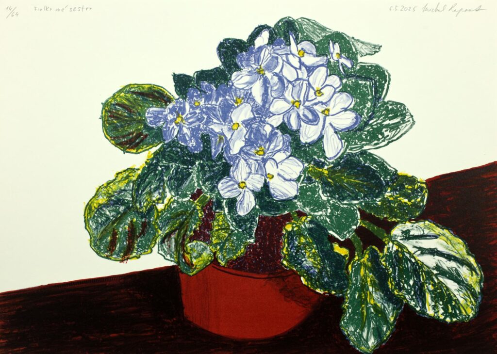 Obrázek díla Fialky mé sestry od Michal Rapant