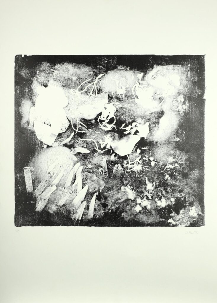 Obrázek díla bn od Bedřich Rose