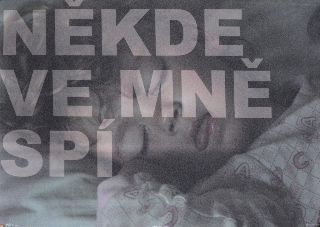 Obrázek díla Spím? od Eliška Rychetská